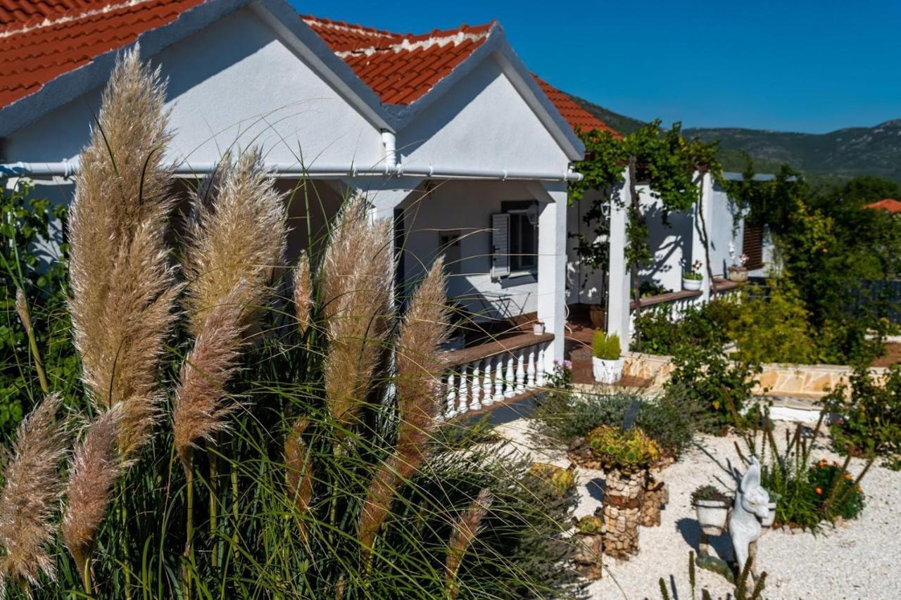 Вілла House Camellia With Fenced Pool And Playground Blizna Donja Екстер'єр фото